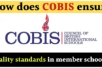 How does COBIS ensure quality standards