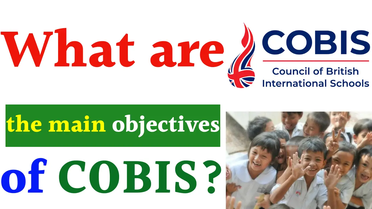 Main objectives of COBIS