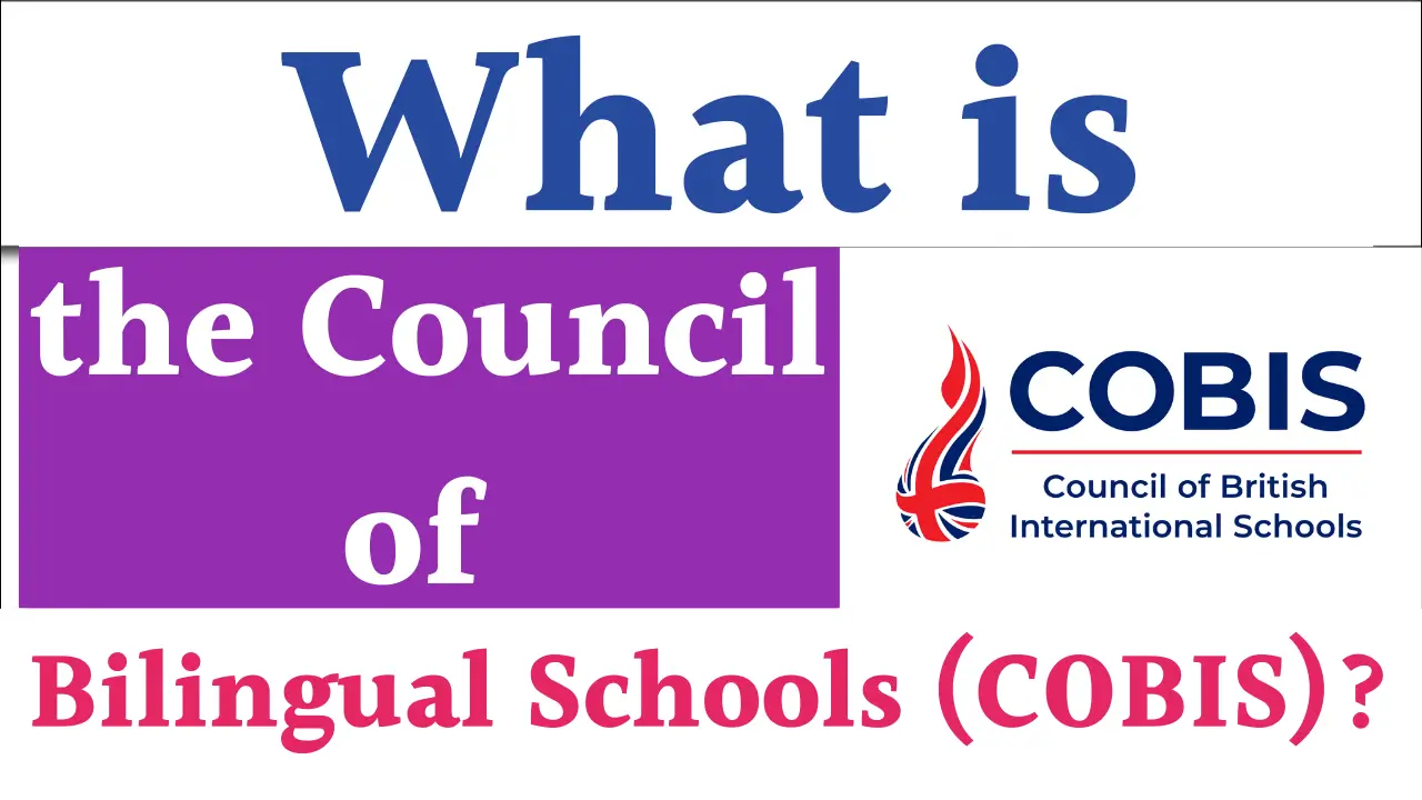 What is COBIS