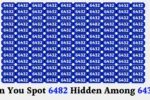 Spot The Number 6482 Among 6432