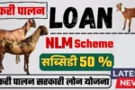 Bakri Palan Business Loan 2025