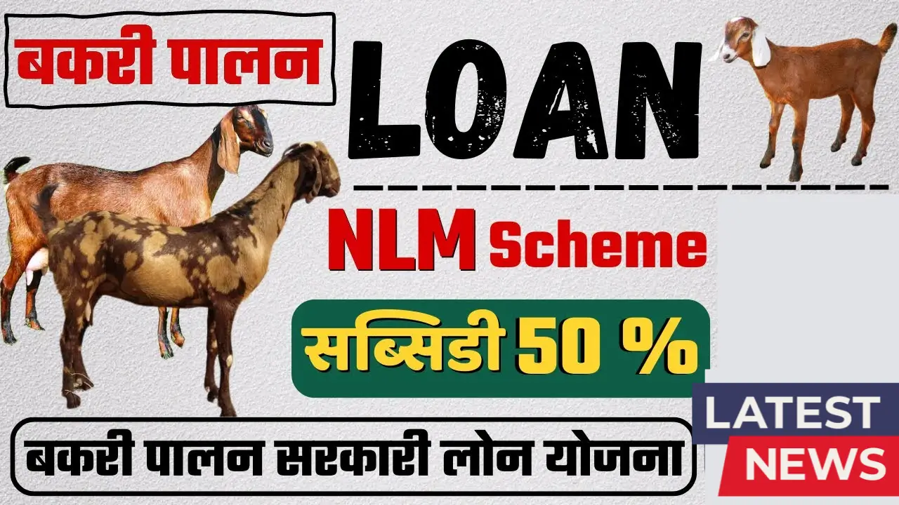Bakri Palan Business Loan 2025